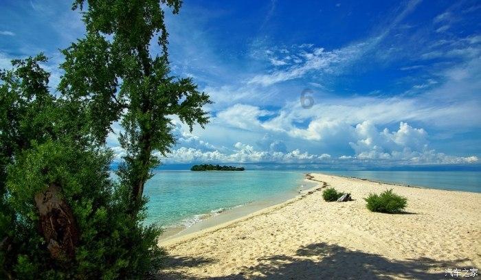坐牛车赶海挖文蛤，遍地寻宝不亦乐乎，让游客体验别样快乐