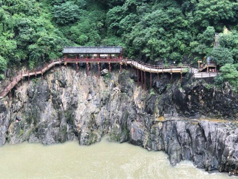 白色森林逃脱