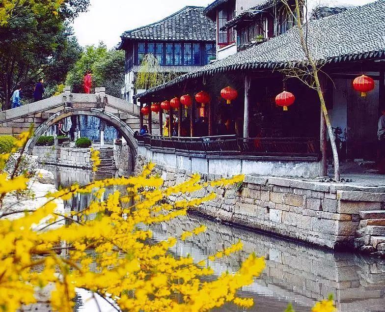 塔科马